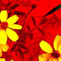 ddos网页在线攻击